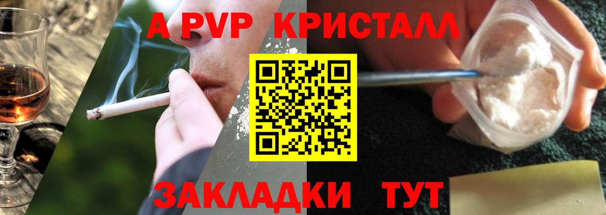 A PVP СК КРИС Горно-Алтайск