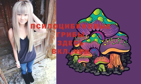 меф Белокуриха