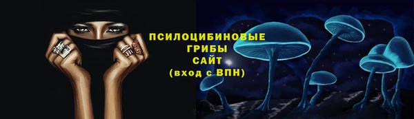 стаф Беломорск