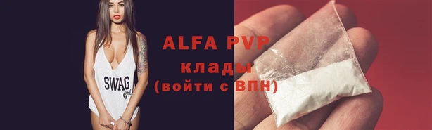 стаф Беломорск