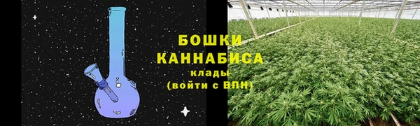 стаф Беломорск