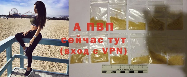 стаф Беломорск