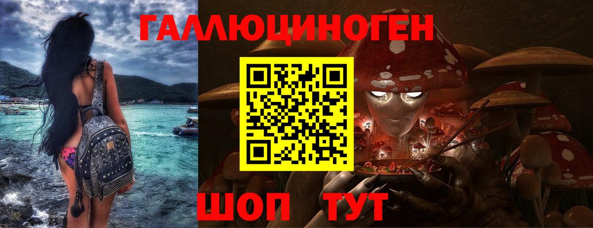 Псилоцибиновые грибы мицелий Горно-Алтайск