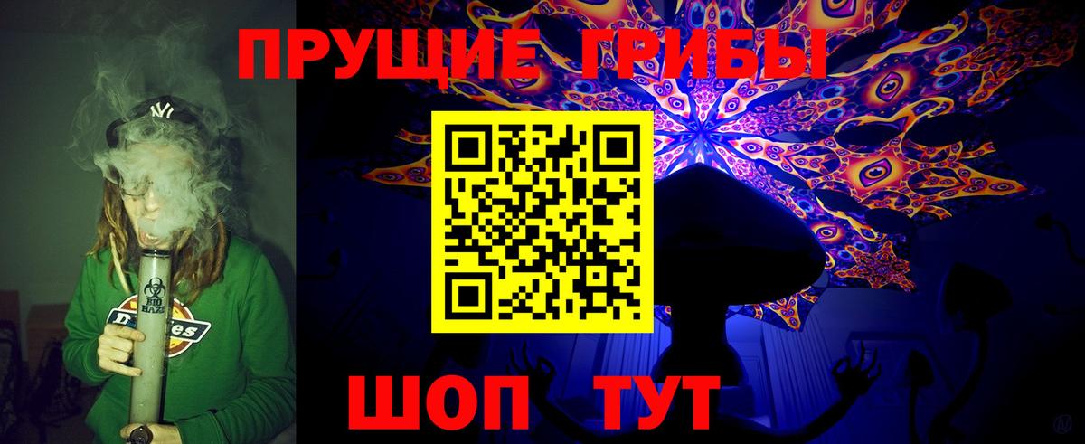 Галлюциногенные грибы MAGIC MUSHROOMS  Вход с VPN  Горно-Алтайск 
